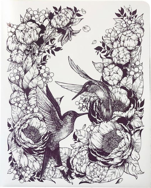 DECOMP FOLDER HUMMINGBIRDS