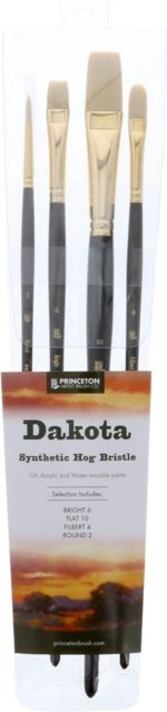 PROFESSIONAL BRUSH SET DAKOTA 4-PACK