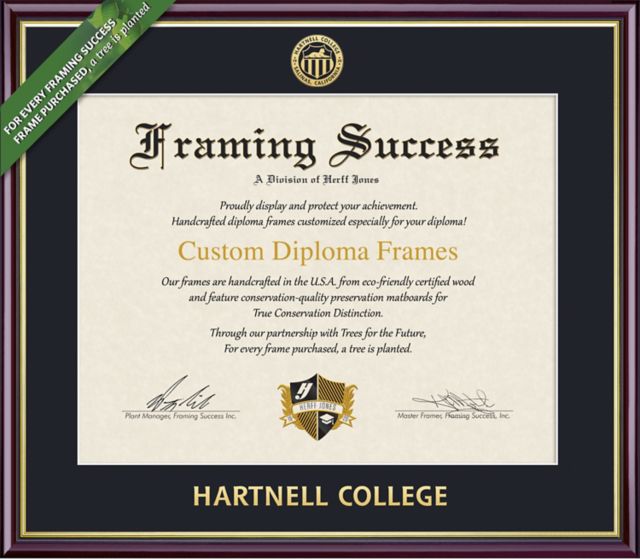 Framing Success Academic 8.5 x 11 Diploma with Single mat- ONLINE ONLY