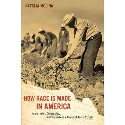 How Race Is Made in America