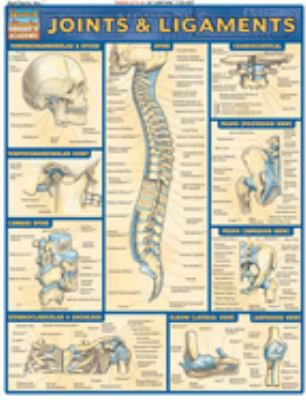 JOINTS & LIGAMENTS