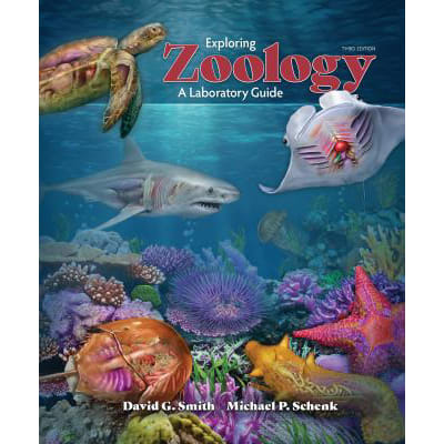 Exploring Zoology